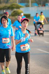 BIB: 9313, 9377
                            <button type="button" onclick="openModal(3217870)" class="btn btn-primary btn-sm float-right btn-popup" data-toggle="modal" data-target=".modal-high-quality">
                        <i class="fas fa-shopping-cart"></i> Add to Cart
                    </button>
                                            <button type="button" onclick="isThisMe(3217870, true)" class="btn btn-success btn-sm float-right btn-popup btn-isme hidden" data-toggle="tooltip" data-placement="bottom" title="นี่คือรูปของคุณใช่ไหม คลิกที่นี่เพื่อเอาเข้าอัลบั้ม">
                        <i class="fas fa-plus"></i> Add to album
                    </button>
                    <button type="button" onclick="isThisMe(3217870, false)" class="btn btn-warning btn-sm float-right btn-popup btn-isnotme hidden">
                        <i class="fas fa-ban"></i> Remove from album
                    </button>